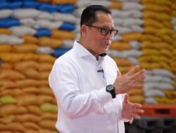 Cadangan Beras Pemerintah Capai 683.000 Ton, Cukup sampai Lebaran 2023