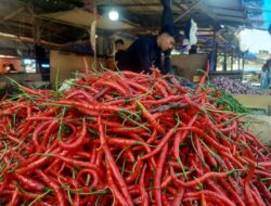Diskopukmdag Aceh Besar Pastikan Harga Kebutuhan Pokok di Pasar Lambaro Stabil