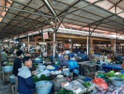 Pedagang di Pasar Induk Lambaro Mengeluh Karena Semakin Banyak PKL