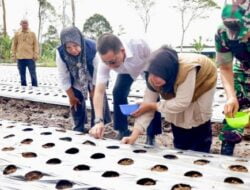 Penjabat Gubernur Tinjau Lahan Pertanian dan Peternakan di Makorem Teuku Umar