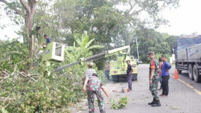 Gerak Cepat Instruksi Pj Bupati, DLH Aceh Besar Lakukan Pembersihan Pohon di Bahu Jalan Nasional