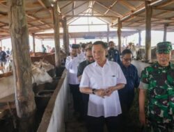 Tindaklanjuti Arahan Gubernur, Disnak dan Pemkab Aceh Jaya Gelar Penertiban Ternak Berbasis Pemberdayaan