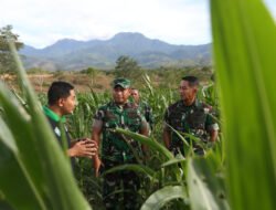 Pangdam IM meninjau lahan I’M Jagong di Wilayah Kec. Kota Cot Gle, Kab. Aceh Besar