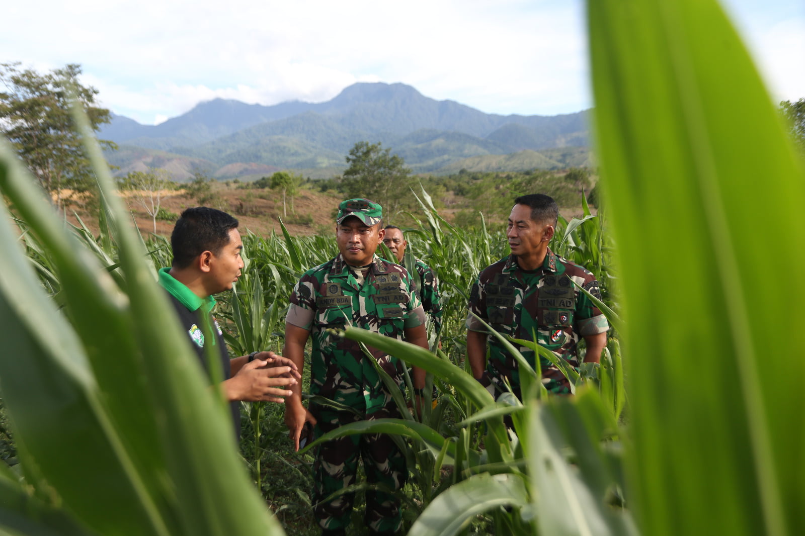 Pangdam IM meninjau lahan I’M Jagong di Wilayah Kec. Kota Cot Gle, Kab. Aceh Besar