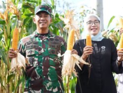 Pangdam IM dan Ibu Ketua Persit KCK Daerah Iskandar Muda mengjungi lahan Ketahanan Pangan Food Estate Korem 012/TU.