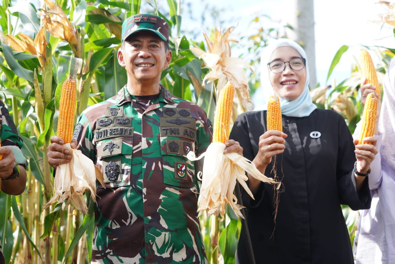 Pangdam IM dan Ibu Ketua Persit KCK Daerah Iskandar Muda mengjungi lahan Ketahanan Pangan Food Estate Korem 012/TU.