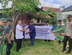 Program Ketahanan Pangan, Camat Kadafi Serahkan Sapi Untuk KPM Geuceu Komplek