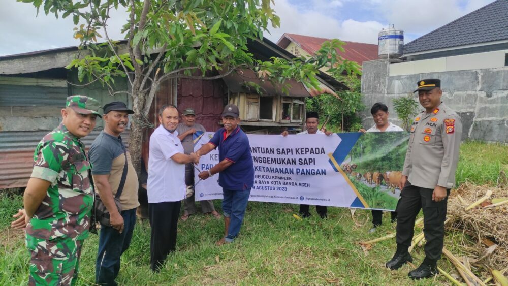 Program Ketahanan Pangan, Camat Kadafi Serahkan Sapi Untuk KPM Geuceu Komplek