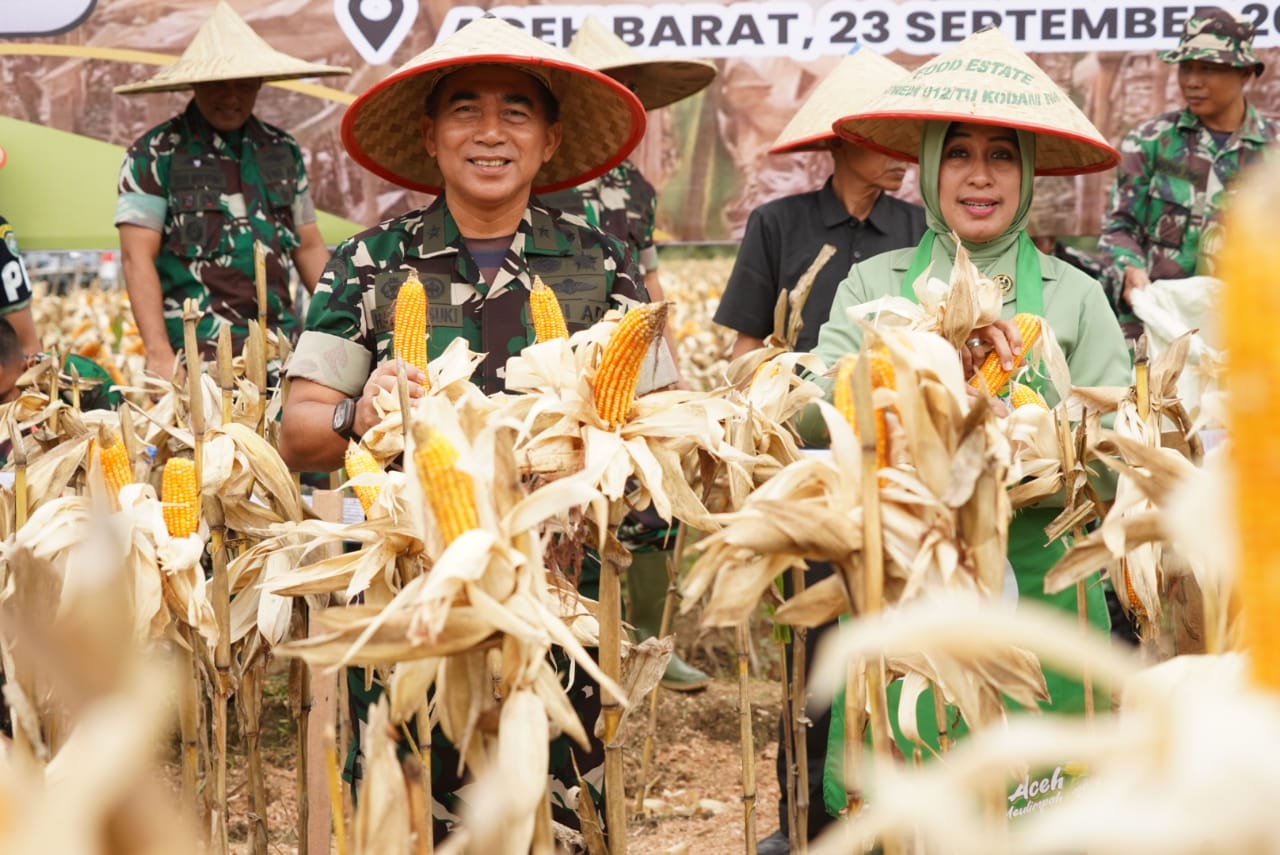 Kasdam IM Pimpin Panen Jagong Perdana Program I'M Jagong Kodam IM Di Wilayah Kodim 0105/Abar