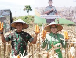 Situasi Elnino, Program I’M Jagong yang diprakarsai Pangdam IM Sukses Panen Perdana