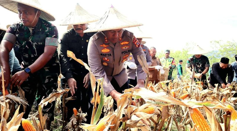 Wakapolresta Banda Aceh Hadiri Panen Jagung Perdana Progam Kodam IM