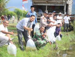 Pemkab Aceh Besar Lepas 10 Ribu Bibit Ikan Nila di Gampong Ulee Tuy
