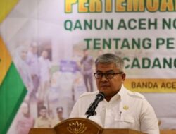 Qanun Ketahanan Pangan Mengamanatkan Pemerintah Jamin Ketersediaan Cadangan Pangan
