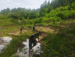 Wujudkan Ketahanan Pangan, Babinsa Ikut Turun Bajak Sawah