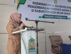 Bappeda Gelar Diseminasi Hasil Kajian Kelayakan Pengembangan Produksi Garam Unggul di Aceh Besar