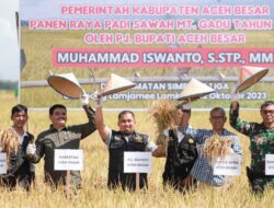 Pj Bupati Aceh Besar Panen Perdana MT Gadu Tahun 2023