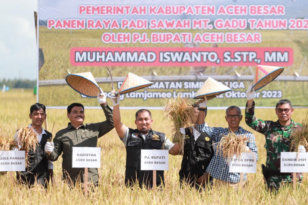 Pj Bupati Aceh Besar Panen Perdana MT Gadu Tahun 2023