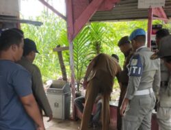 Ganggu Operasional Usaha Warga, Satpol PP WH Banda Aceh Amankan Seorang ODGJ