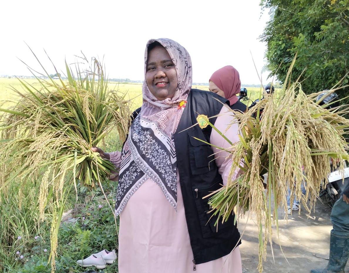 Petani Blang Raya Minta Pj Bupati Iswanto Panen Perdana MT Gadu