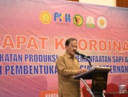 Pulau Aceh dan Pulau Raya Ditetapkan Sebagai Lokasi Pengembangan Sapi Aceh