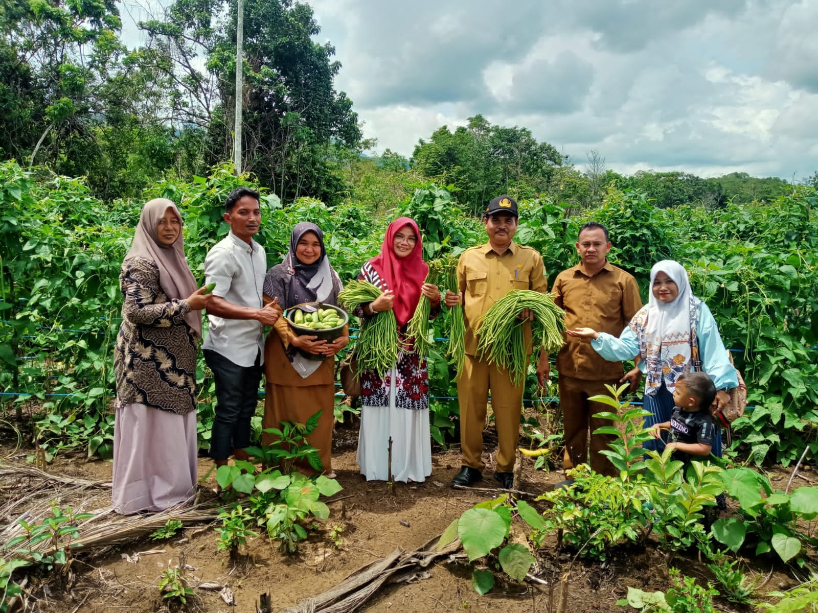 Kadistan Aceh Besar Panen Kacang Panjang di Teurebeh Kota Jantho