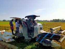 Wujudkan Ketahanan Pangan, Babinsa Kodim 0103/Aceh Utara Bantu Petani Panen Padi.