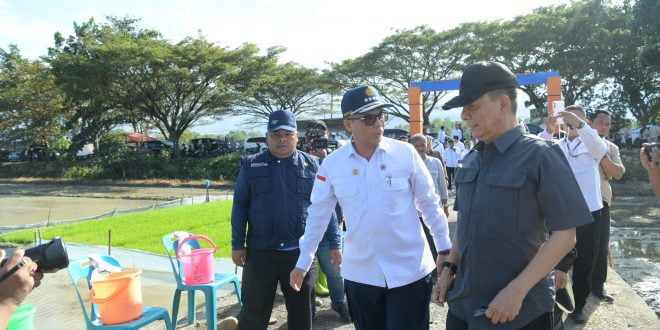 Penjabat Gubernur dan Wamentan Tanam Padi Perdana di Indrapuri