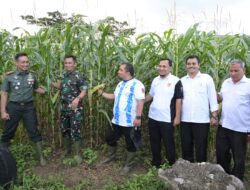 Dandim 0101/KBA dan Pj Bupati Aceh Besar Tinjau Kebun Jagung Yonif Reider 112/DJ