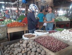 Awal 2024, Harga Cabai di Pasar Induk Lambaro Turun