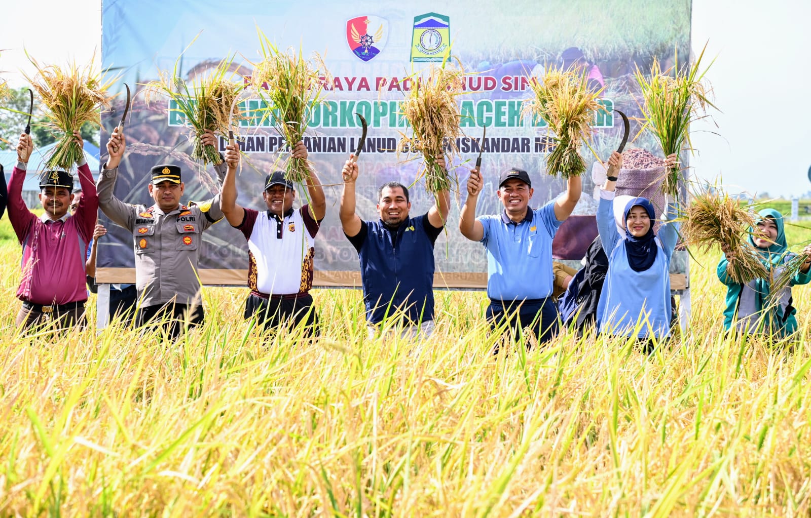 Pj Bupati Aceh Besar Bersama Danlanud SIM Panen Raya Padi MT Rendengan 2024 di Blang Bintang