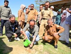 Pemkab Aceh Besar dan Angkasa Pura II Tanami Tabebuya di Gampong Wisata Nusa Lhoknga