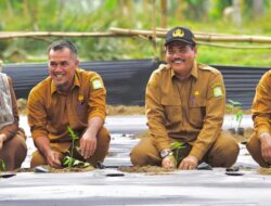 Poktan Hareukat Tani Aceh Besar Luncurkan Gerakan Tanam 6.000 Cabai