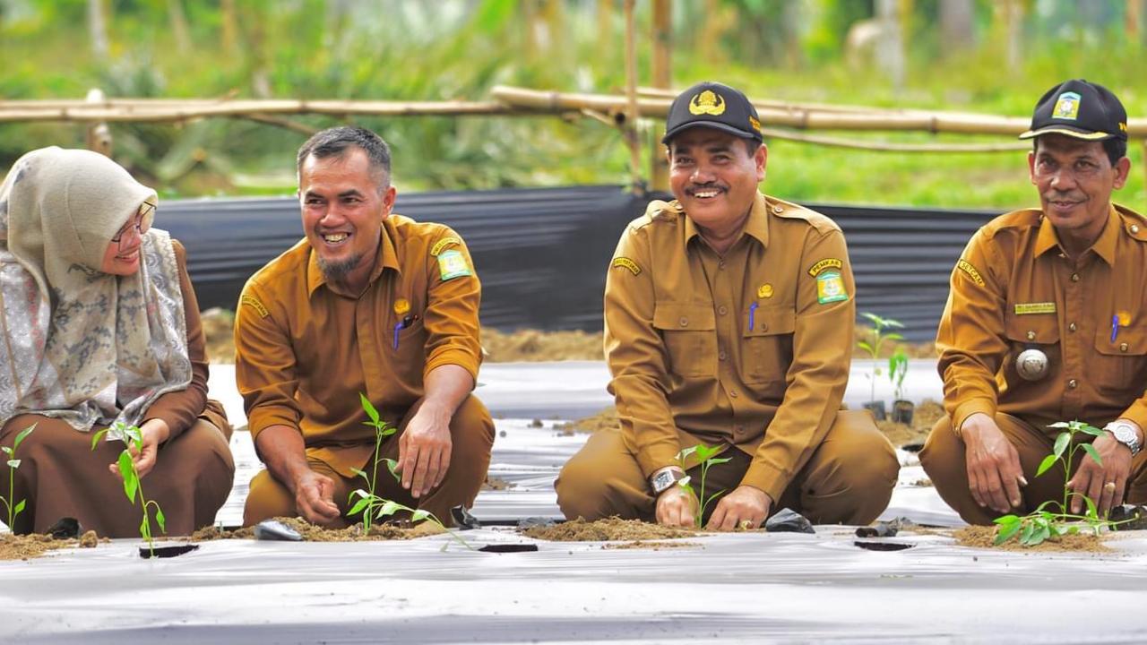Poktan Hareukat Tani Aceh Besar Luncurkan Gerakan Tanam 6.000 Cabai