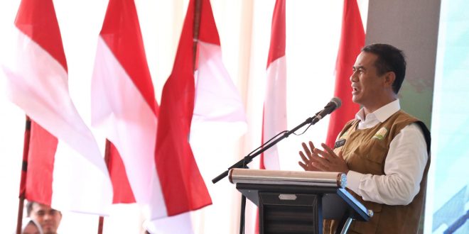 Masif Gerakan Tanam Jagung, Mentan Optimis, Indonesia Segera Ekspor