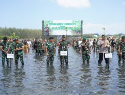 KASAD Tanam 64.500 Bibit Mangrove Serentak di Aceh