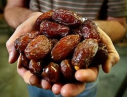 Industri Kurma Israel Ketakutan Aksi Boikot di Bulan Suci Ramadan
