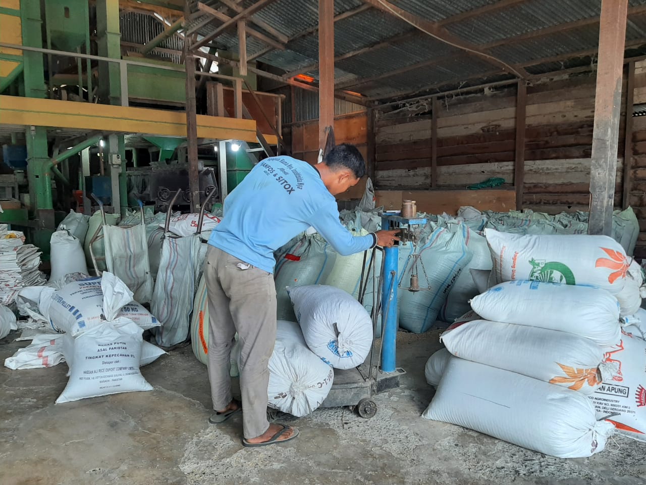 Harga Gabah di Aceh Besar Capai Rp 6.500/ Kg