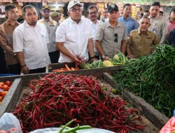 Pj Bupati Aceh Besar Dampingi Gubernur Aceh Pantau Stok dan Harga Pangan di Pasar Induk Lambaro