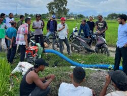 Wakil DPRK Aceh Besar Mendukung Pemkab Tingkatkan Sektor Pertanian Penunjang PAD