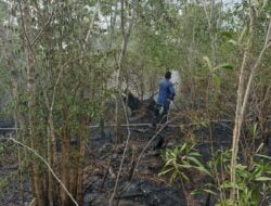 Kebakaran Lahan di Lampuuk Berhasil Dipadamkan, BPBD Aceh Besar Kerahkan Dua Armada