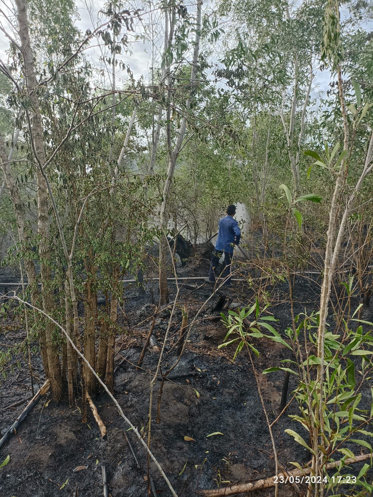 Kebakaran Lahan di Lampuuk Berhasil Dipadamkan, BPBD Aceh Besar Kerahkan Dua Armada