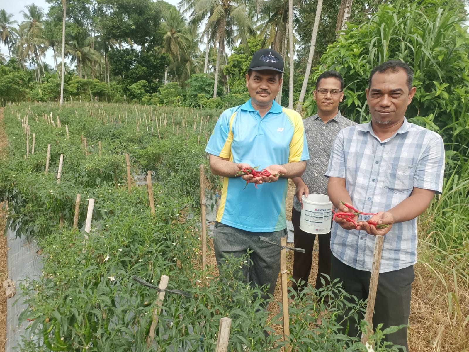 Berhasil Panen Cabai, Pemkab Aceh Besar Apresiasi Program Tanggap Inflasi Pemuda Hareukat Tani