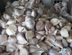 RI Impor Bawang Putih US$125,2 Juta: Dari China, AS Hingga Singapura