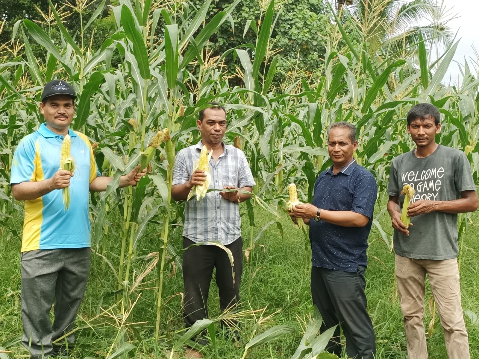Distan Aceh Besar Panen Jagung dalam Program Tanggap Inflasi di Lambeugak