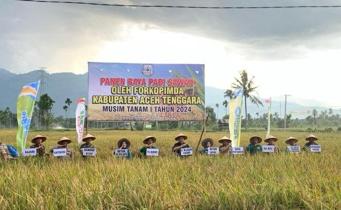 Pj Bupati Syakir dan Forkopimda Agara Panen Raya Padi Sawah di Lawe Sumur