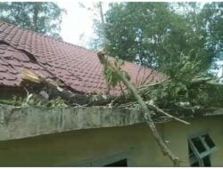 Pohon Tumbang, Kantor PWI Aceh Besar Rusak