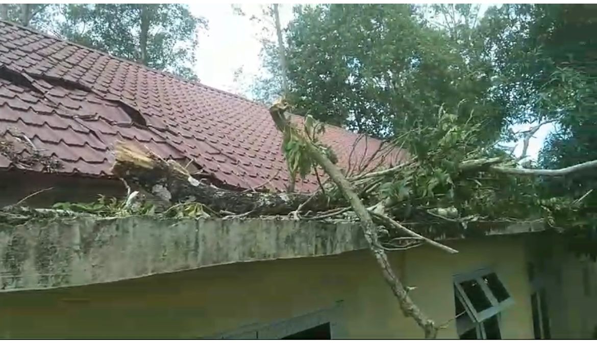 Pohon Tumbang, Kantor PWI Aceh Besar Rusak