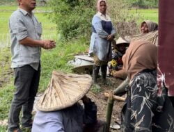 Wakil Ketua DPRK Dorong Pemkab Aceh Besar Terus Kembangkan Sektor Pertanian
