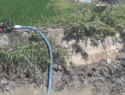 Petani Simpang Tiga Desak Pemkab Aceh Besar Tangani Dampak Kemarau Panjang 