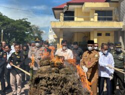 Polda Aceh Musnahkan Barang Bukti Sabu 226 Kg dan Ganja 1,2 Ton